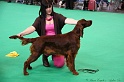 Crufts2011 156